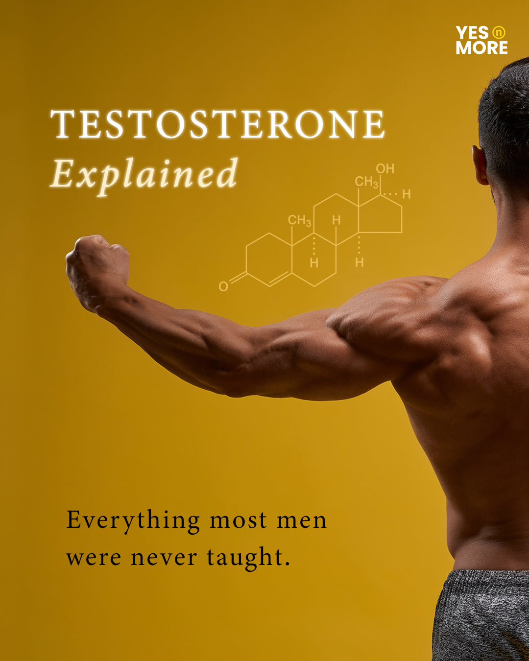 What Is Testosterone? Everything Men Need to Know About This Powerful Hormone