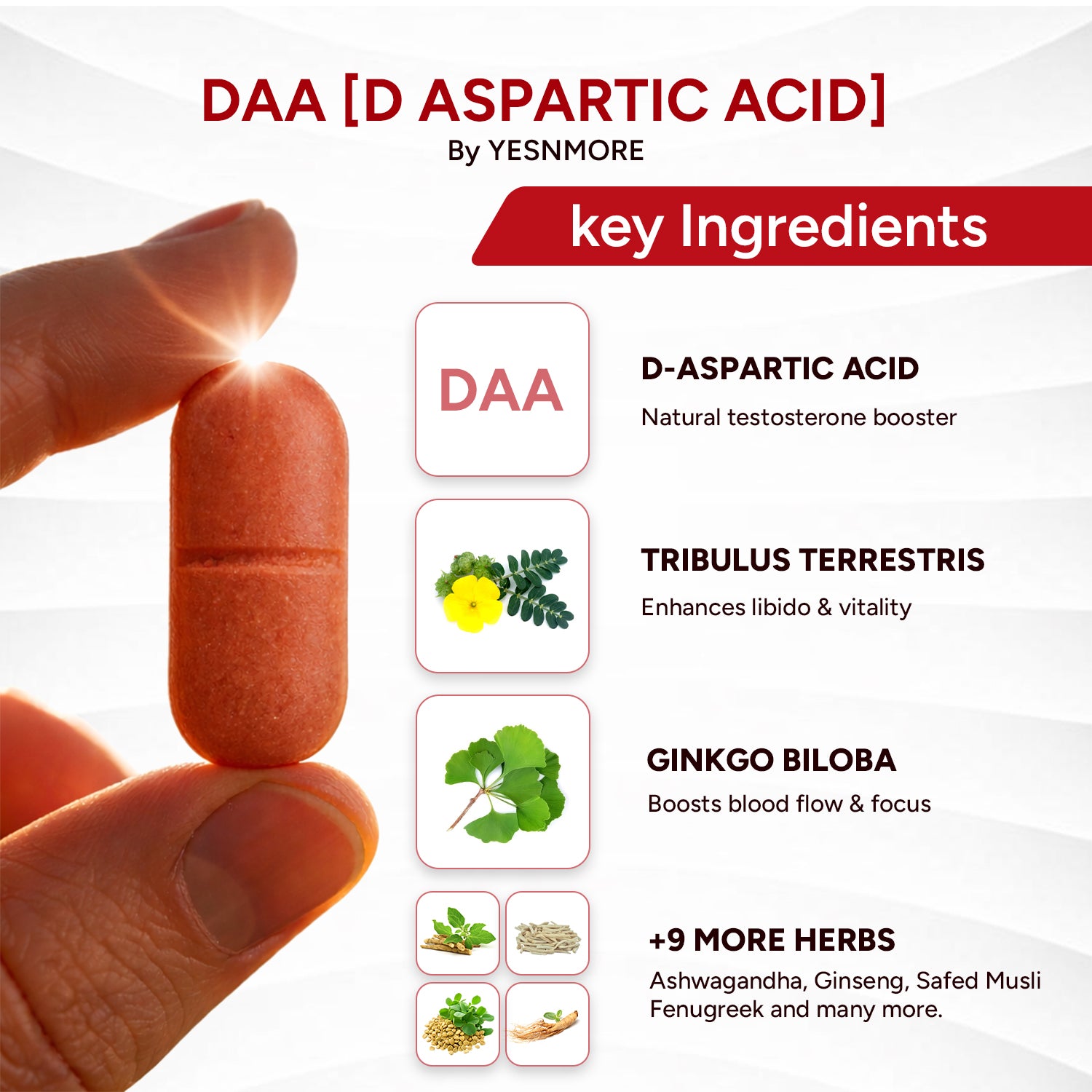 DAA for Testosterone Support