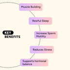Alpha Recovery Combo by Yesnmore | Melatonin + DAA