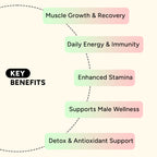 Core Vitality Combo by Yesnmore | DAA + Spirulina