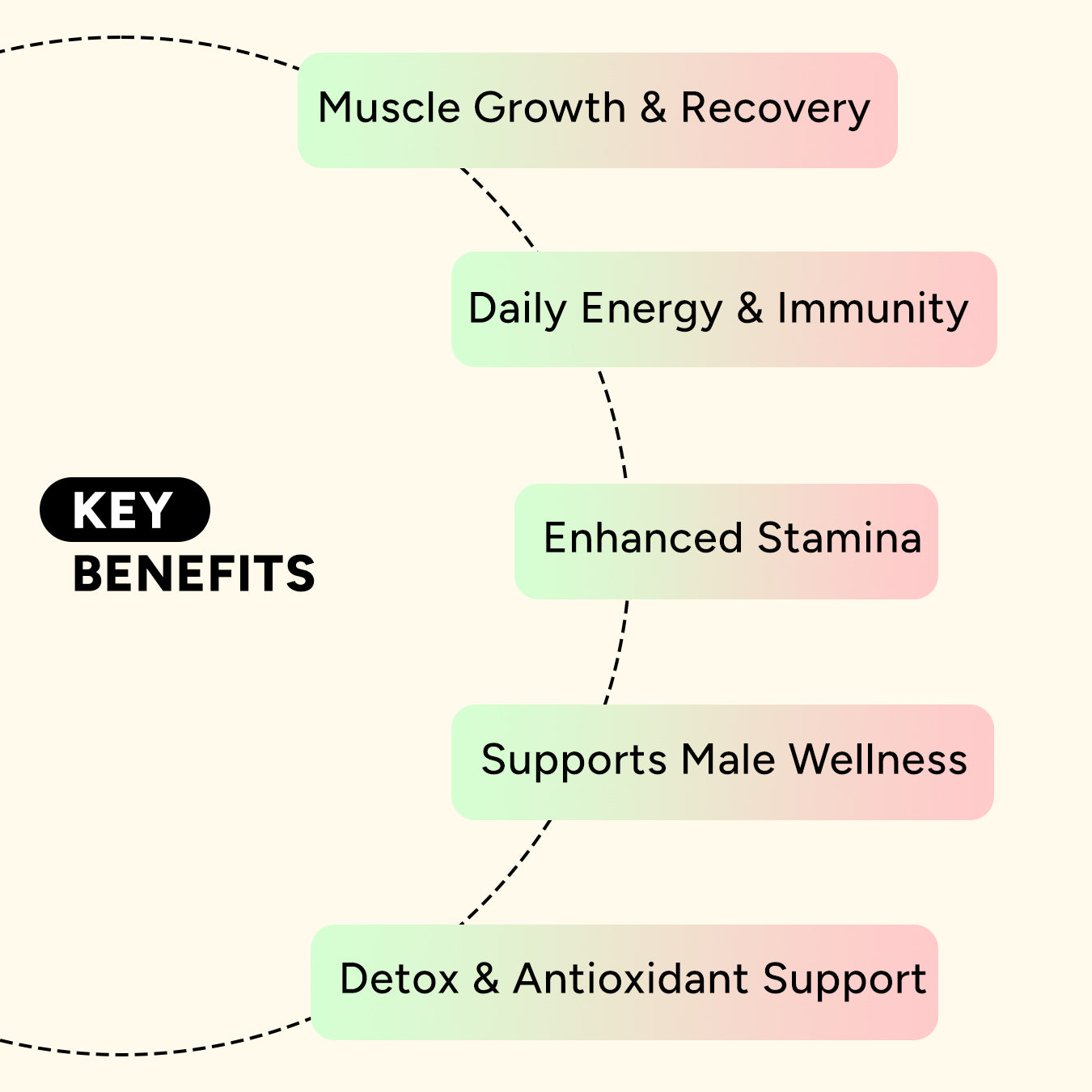 Core Vitality Combo by Yesnmore | DAA + Spirulina