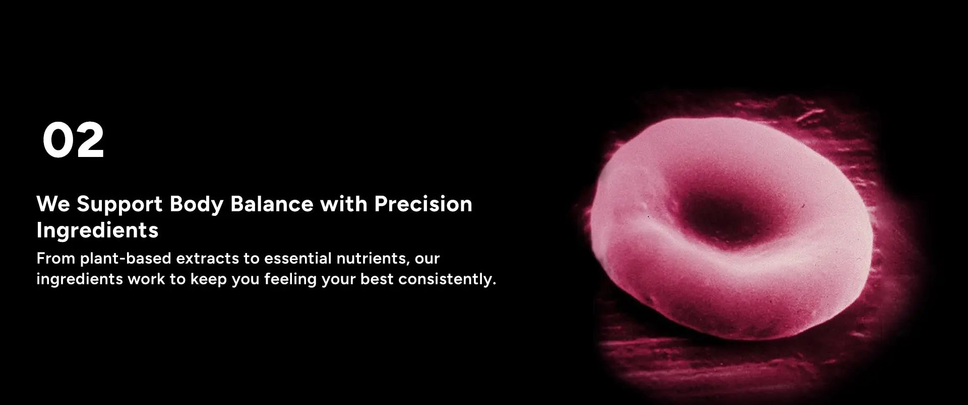 Precision Ingredients